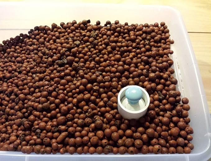 Aquaponics Auto Bell Siphon Kit 6" Media or Smaller Grow Bed Mini Garden! Great for Half 5Gal Dutch Buckets, Over 20,000 Siphons Sold