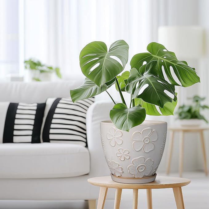 MPotTo Ceramic Planter 8 Inch Plant Pot with Drainage Hole and Saucer Ceramic Pots for Indoor Plants Outdoor Large Flower Pot for Home Decor White