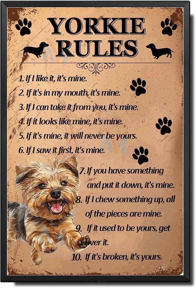 Metal Sign Tin Sign Vintage Wall Art Yorkie Rules Garden Tin Sign for Pub 12×16 Inches with Metal Frame