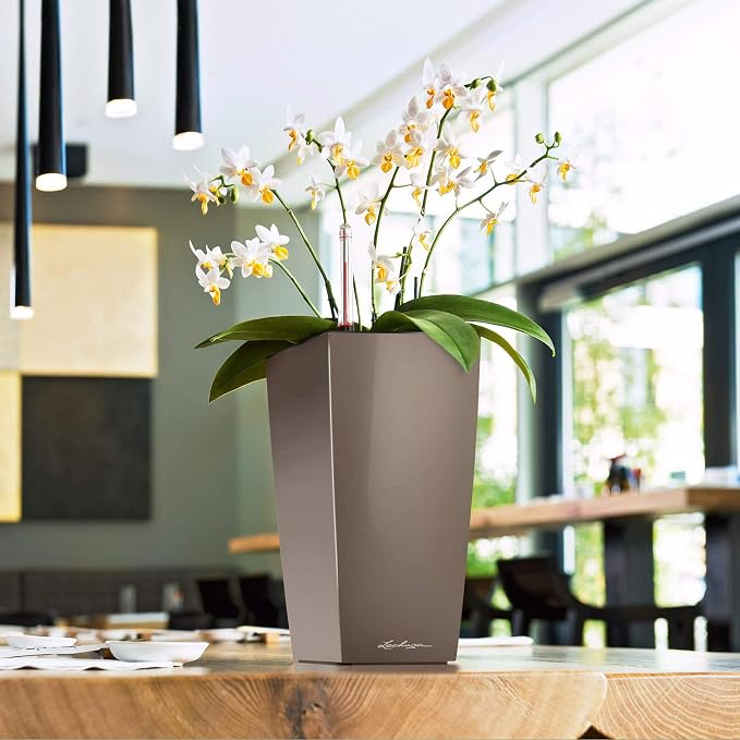 Lechuza Maxi-CUBI Scarlet Red High Gloss, Self-Watering Small Indoor Planter, H10.2 L5.5 W5.5 in