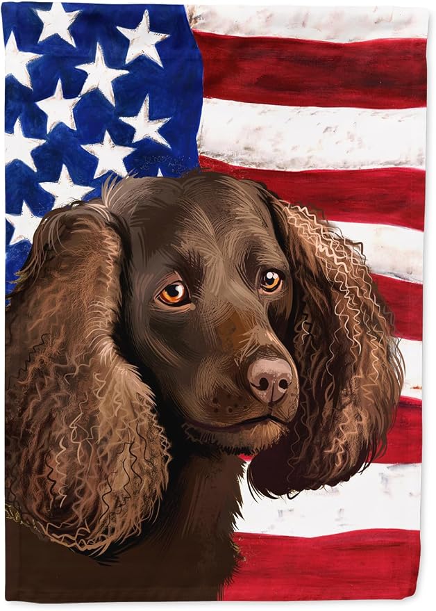 Caroline's Treasures CK6402GF American Water Spaniel American Flag Garden Flag Mailbox Flag Decorative Yard Flag Banner Outside Patio Artwork Yard Flower Beds, Garden Size, Multicolor
