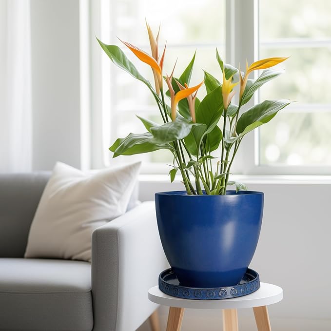 Eightpot Plant Saucer 9.3 Inch - Ceramic Plant Saucer for Indoors Outdoors Plant Water Catcher Tray Plant Drainage Tray Decorative Flower Pot Saucer Plant Plates Blue