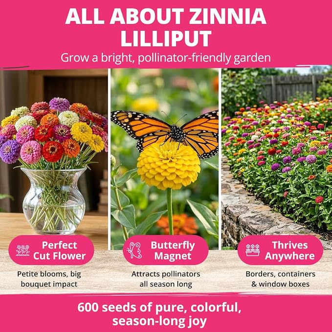 HOME GROWN Zinnia Lilliput Mix Flower Seeds – 600 Seeds (4g) Zinnia elegans – Colorful Zinnia Seed Mix for Planting Spring 2026 for Garden Beds, Containers & Cut Flowers, Easy Grow Zinnia Seeds