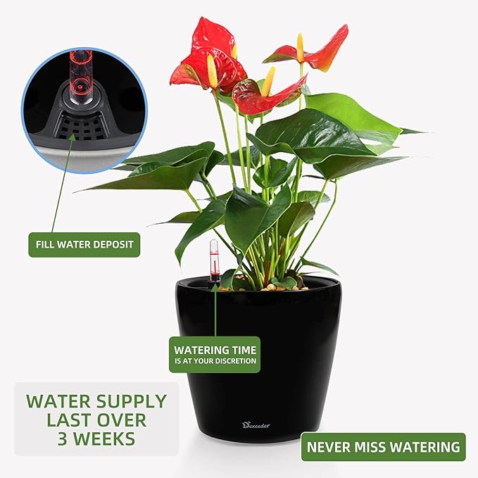 Dexceder 9x8 Self Watering Planter (Black High Gloss) | Inner Pot Design, Thickened Table Flower Plant Pot with Water Level Indicator Indoor Outdoor