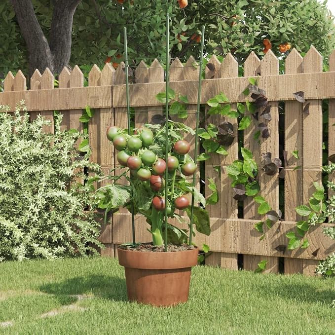 Garden Plant Supports with 3 Rings 5 pcs Green 23.6" Steel, Sturdy Tomato Cage for Climbing Plants, Plant Stakes for Tomatoes Cucumbers Hydrangeas Peonies