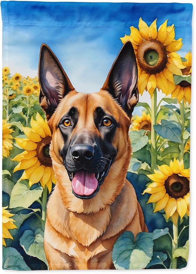 Caroline's Treasures DAC6022GF Belgian Malinois in Sunflowers Garden Flag Mailbox Flag Decorative Yard Flag Banner Outside Patio Artwork Yard Flower Beds, Garden Size, Multicolor