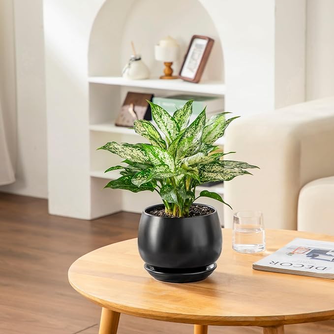 vancasso 3-Pack Ceramic Plant Pots, 7.3/9.6/11.6 Inch Indoor Planters with Saucers & Drainage Hole Planter pots for Indoor Plants and Flower, Black