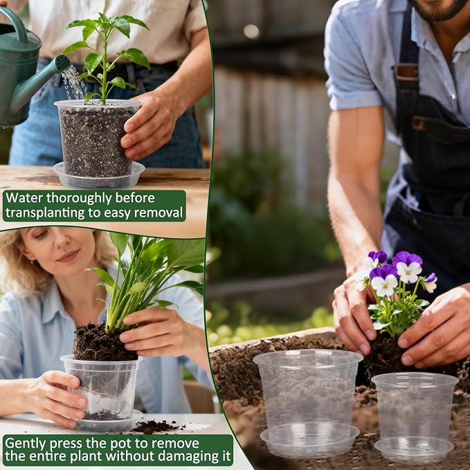8 Inch Clear Nursery Pots with Drainage Holes and Saucers, 6 Pack Clear Pots for Plants Variety Pack, Seedling Pots for Succulents, Herbs, Flowers, Vegetables