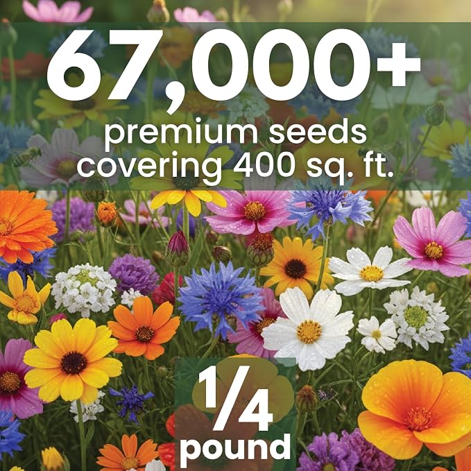 All Annual Quick Blooming Mix - 67,000 Flower Seeds for Planting - Wildflower Mix - Large 4 Ounce Packet