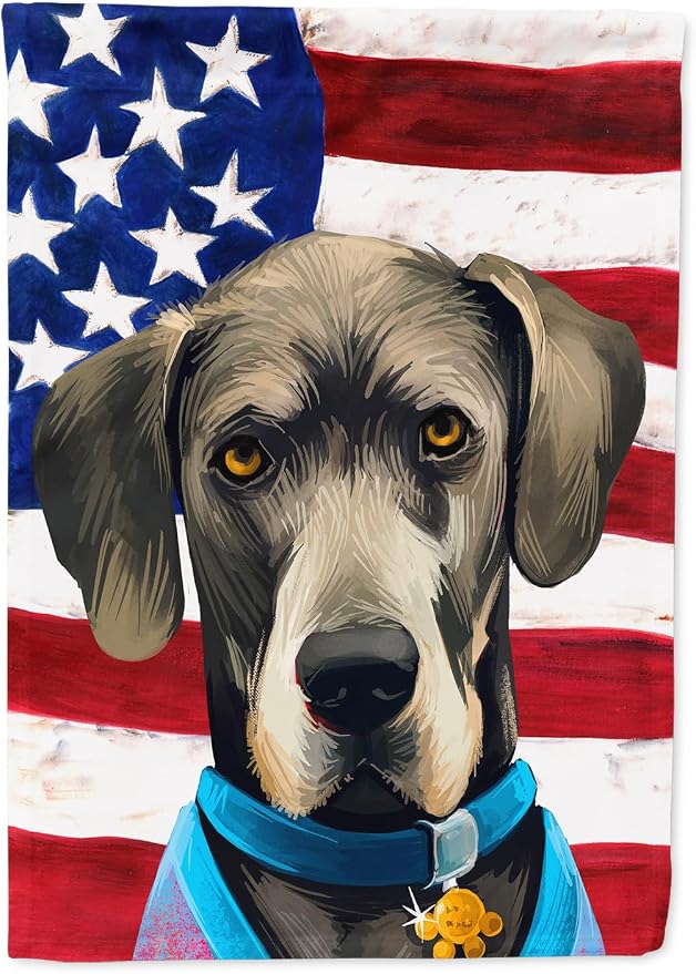 Caroline's Treasures CK6546CHF Great Dane Dog American Flag House Flag Large Porch Sleeve Pole Decorative Outside Yard Banner Artwork Wall Hanging, Polyester, House Size, Multicolor