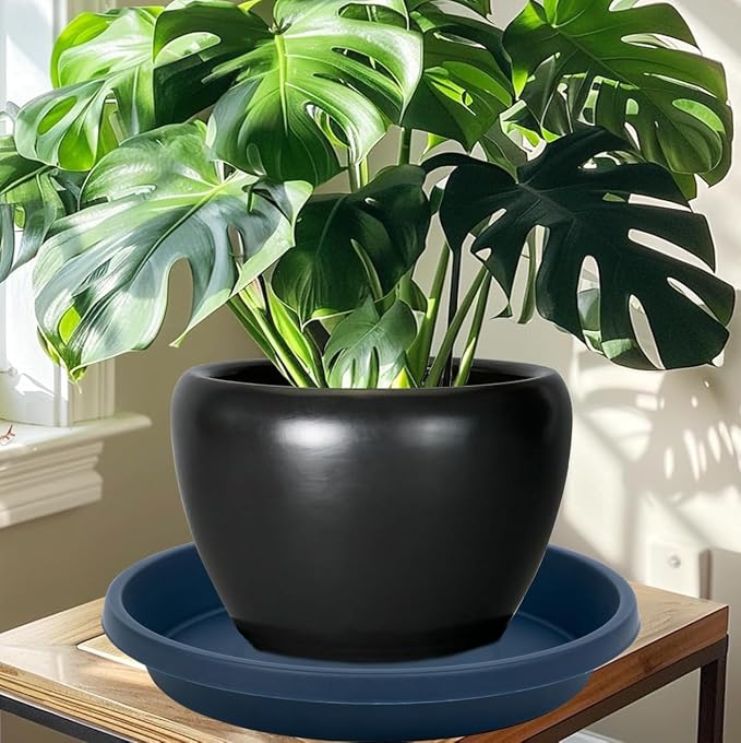 NIMYAU Plastic Plant Saucer 10 Inch Round Pack of 2 Heavy Duty Drip Trays for Indoor Outdoor Pots