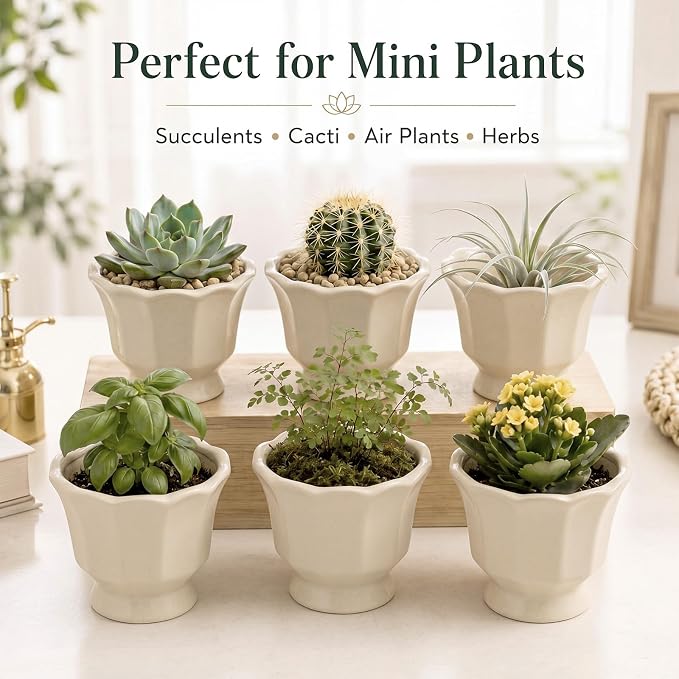 6 Pcs Lotus Leaf Edge Flower Planter Beige 3.4 Inch Small Scalloped Ceramic Pots for Mini Plant Succulent Cactus Flower Tillandsia Air Fern Home Office Desktop Decor