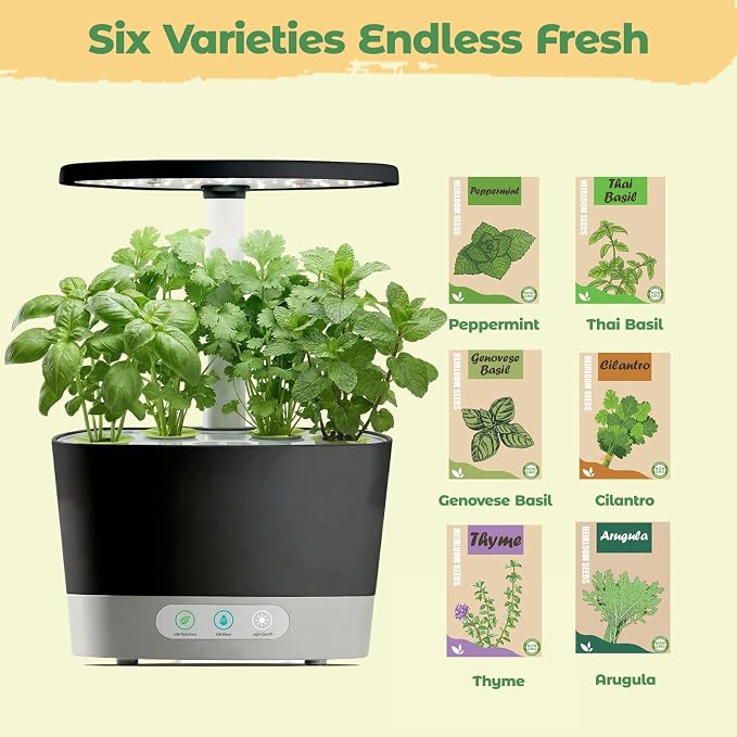 Herb Seed Pod Kit for AeroGarden, idoo, Ahopegarden, MUFGA Hydroponics Garden with Genovese Basil, Thai Basil, Thyme, Cilantro, Peppermint, and Arugula - Compatible with All Hydroponics (8-Pod)