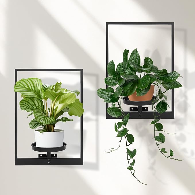Wall Plant Holder Floating Shelves for Wall Set of 2, Wall Planters for Indoor Plants - Premium Metal Hanging Plant Holder for Indoor Outdoor Decor