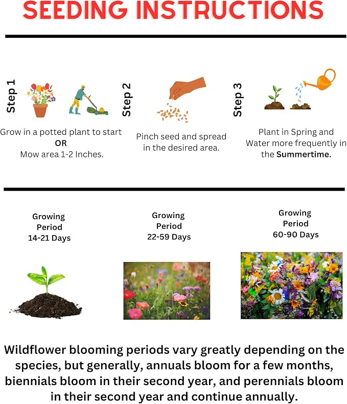 Hummingbird Wildflower Seed Mix (2oz) Bright, Nectar-Rich Blooms that Attract Hummingbirds & Pollinators