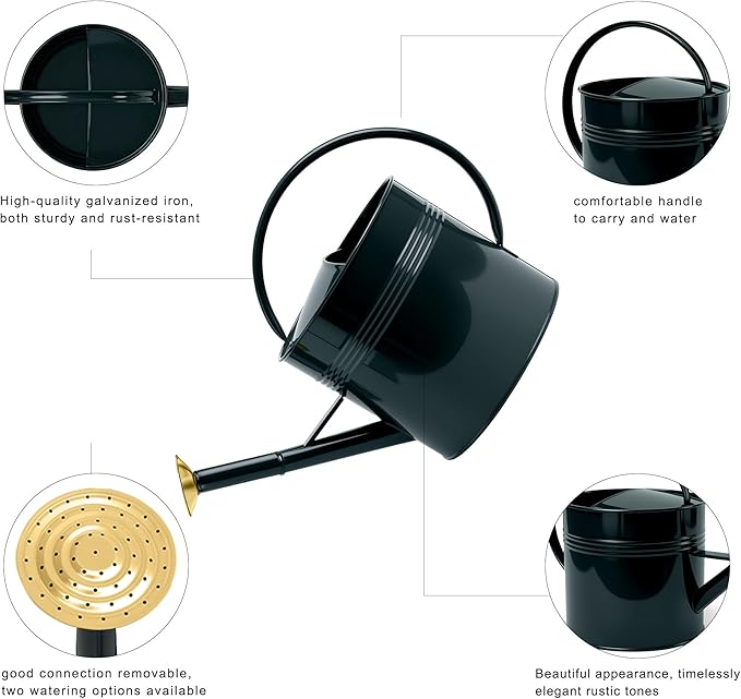 ‌2.5-Gallon Metal Watering Can,9.5L Large Galvanized Watering Can for Outdoor Plants with Removable Long Spout and Golden Handle