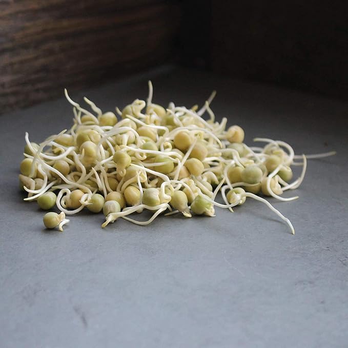Handy Pantry Certified Organic Dried Green Pea Sprouting Seed - 1 Lb | Green Pea for Sprouts, Garden Planting, Cooking, Soup, Emergency Food Storage, Vegetable Gardening