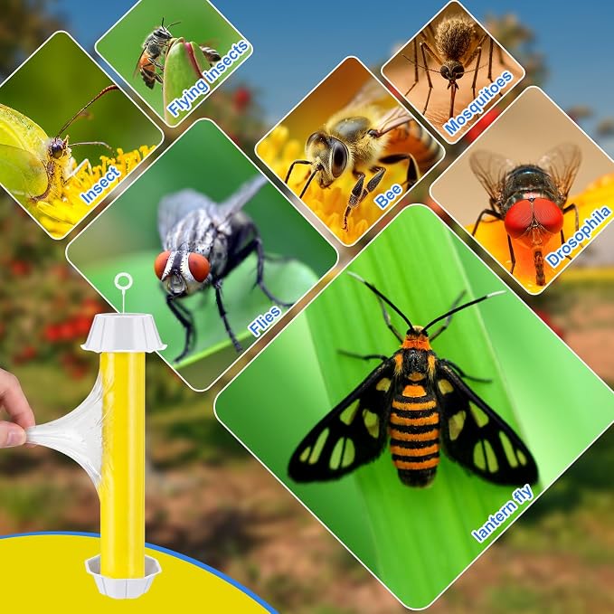 Qualirey 12 Pcs Sticky Fly Trap Fly Stick Indoor Outdoor Long Lasting Hanging Flies Bug Catcher Paper Tape Strips with Hook for Wasps Gnats Bug Insects Fruit Flies Mosquitoes (Bright,Yellow)
