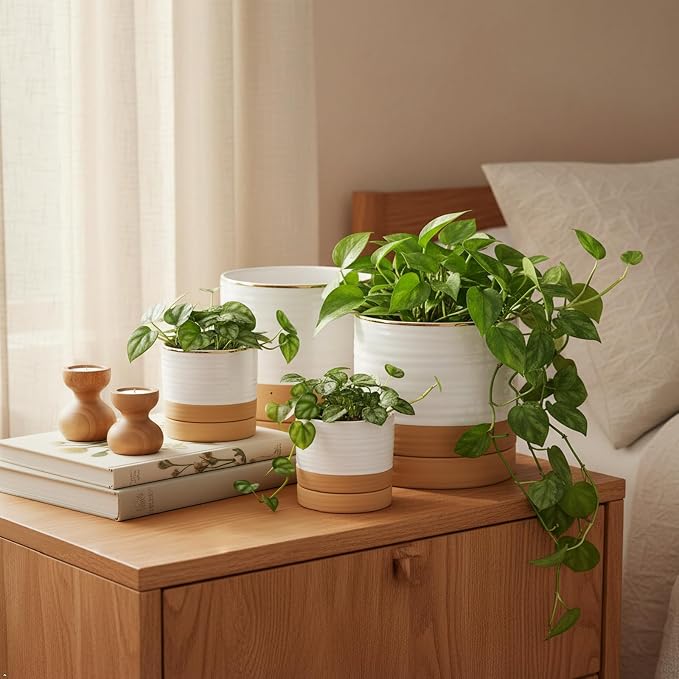 HASENSE Planters for Indoor Plants, 8+6+4.6 Inch Ceramic Plant Pots Indoors with Drainage Hole and Tray, Dual Contrast Glaze Flower Planters for Herb Snake Succulent, Set of 3, White