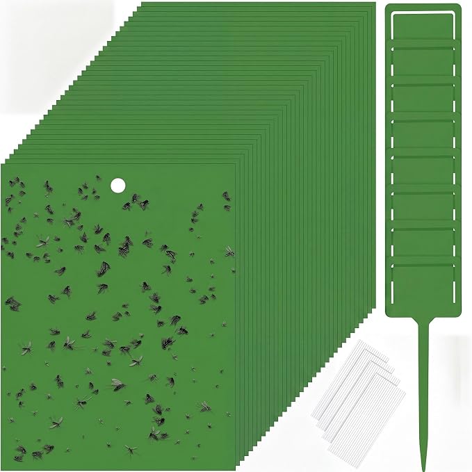 Qualirey 150 Pcs Green Sticky Traps for Gnats, 6 x 8 Inch Dual Sided Gnat Traps for Indoor Outdoor Plants, Fungus Gnat Sticky Cards for Fruit Flies Whiteflies Thrips, Twist Ties and Plastic Holders
