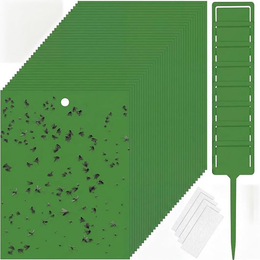Qualirey 150 Pcs Green Sticky Traps for Gnats, 6 x 8 Inch Dual Sided Gnat Traps for Indoor Outdoor Plants, Fungus Gnat Sticky Cards for Fruit Flies Whiteflies Thrips, Twist Ties and Plastic Holders