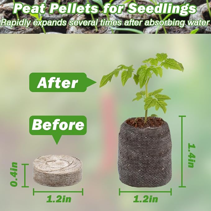 ZeeDix 55Pcs 30mm Seed Starter Pods, Compressed Peat Pellets Seed Starter Soil for Seed Starting, Growing Vegetables, Herbs & Flowers, Indoor Outdoor Gardening Transplanting