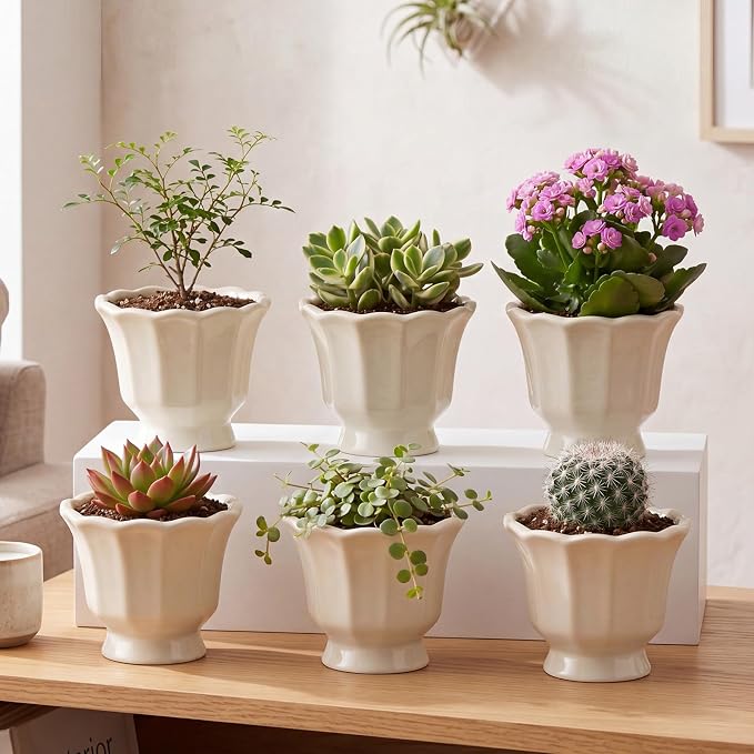 6 Pcs Lotus Leaf Edge Flower Planter Beige 3.4 Inch Small Scalloped Ceramic Pots for Mini Plant Succulent Cactus Flower Tillandsia Air Fern Home Office Desktop Decor