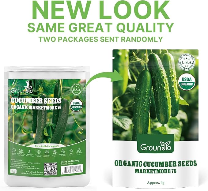 Groundio Marketmore Cucumber Seeds | Organic Heirloom Non-GMO | High Germination | Hardy Slicing Cucumbers for Trellis & Raised Beds (Cucumis sativus)