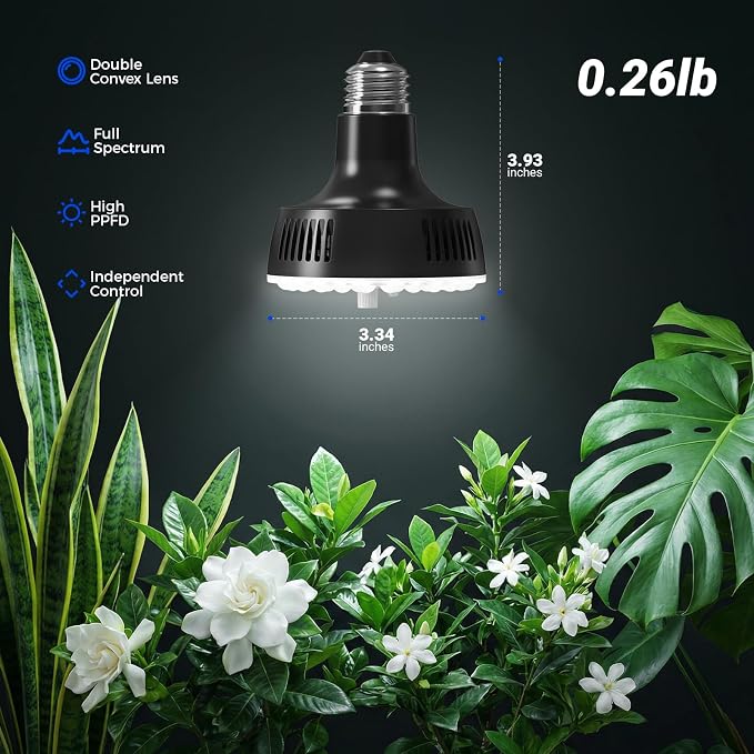 Barrina Orbgrow OG11A Grow Light Bulbs for Indoor Plants, Integrated Dimming & Timing, 5000K 33W(3 x 11W, 300 Watt Equiv), E26 Plant Light Bulb, Full Spectrum for Seeds and Greens, 3 Packs, Black