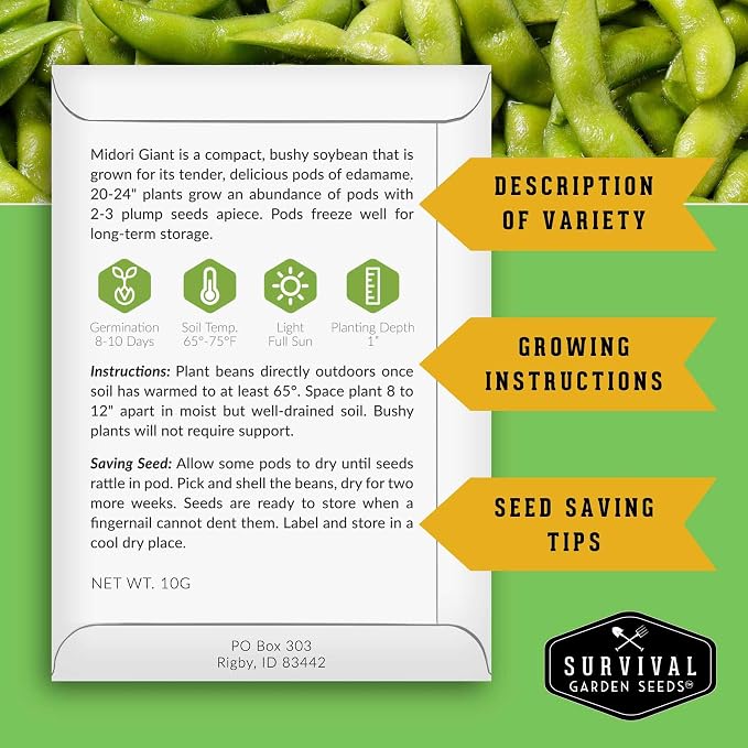Midori Giant Edamame Seeds for Planting - Large Heirloom Soybean Variety with Tender Green Pods - Non-GMO Protein-Rich Vegetable - Survival Garden Seeds (1 Pack)