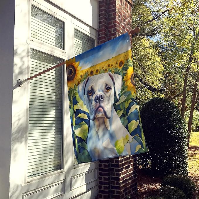 Caroline's Treasures DAC6038CHF Boxer in Sunflowers House Flag Large Porch Sleeve Pole Decorative Outside Yard Banner Artwork Wall Hanging, Polyester, House Size, Multicolor