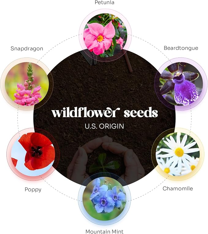 Purple Hummingbird Gift Tags with Wildflower Seeds - 24pcs Writable Gift Wrap Tags for Funeral Favors, Sympathy Gifts & Celebration of Life Keepsake
