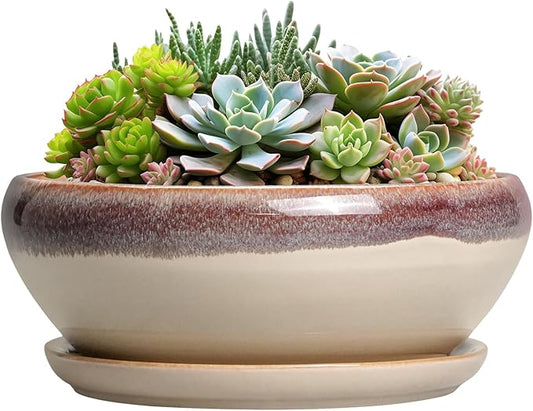 SQOWL Succulent Pots 8 Inch - Ceramic Bonsai Pots for Indoor Plants, Round Shallow Plant Pot with Drainage Hole and Saucer, Bowl Planter Outdoor, Patio Decor, Plant Lover Gifts, Beige