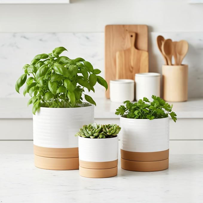 HASENSE Planters for Indoor Plants, 8+6+4.6 Inch Ceramic Plant Pots Indoors with Drainage Hole and Tray, Dual Contrast Glaze Flower Planters for Herb Snake Succulent, Set of 3, White