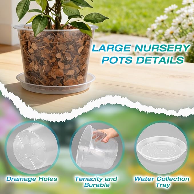 12 Inch Clear Nursery Pots with Drainage and Sacuers, 4 Pack Plastic Pots for Plants Indoor Outdoor, Large Clear Pots for Flowers, Succulents (12inx4pcs)