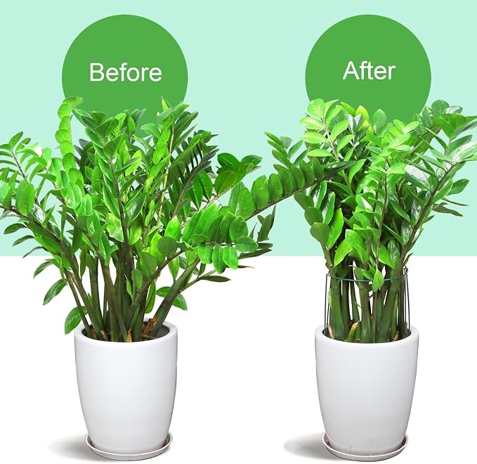 LEOBRO Plant Support Plant Stakes, 12pcs Peony Cages and Supports, Metal Garden Stakes Plant Supports, Plant Support Stakes, for Peony, Tomato, Hydrangea, Indoor Outdoor Plants, 10" W x 15.8" H