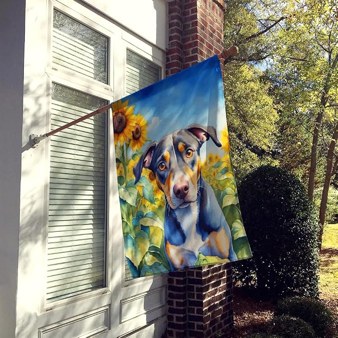 Caroline's Treasures DAC6046CHF Catahoula in Sunflowers House Flag Large Porch Sleeve Pole Decorative Outside Yard Banner Artwork Wall Hanging, Polyester, House Size, Multicolor