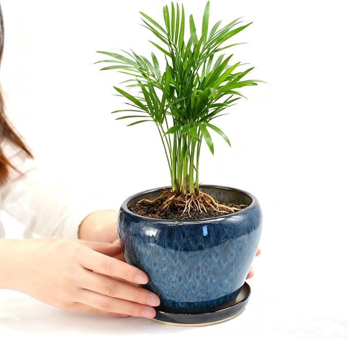 MAGP 10 Inch Large Plant Pots with Drainage Hole and Saucer, Large Ceramic Decorative Flower Pot for Plants Indoor Outdoor Planter, Round Blue