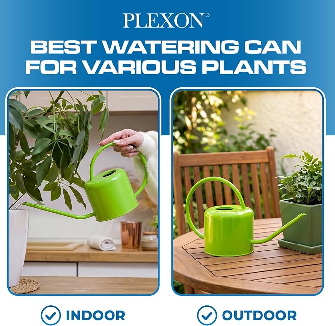 Plexon Long Spout Watering Can Indoor Plants, 40 oz Small Watering Can Pot Metal for Garden Flowers House Plants Mini, Powder Coated,Gift for Mom Girlfriend Daughter, Green