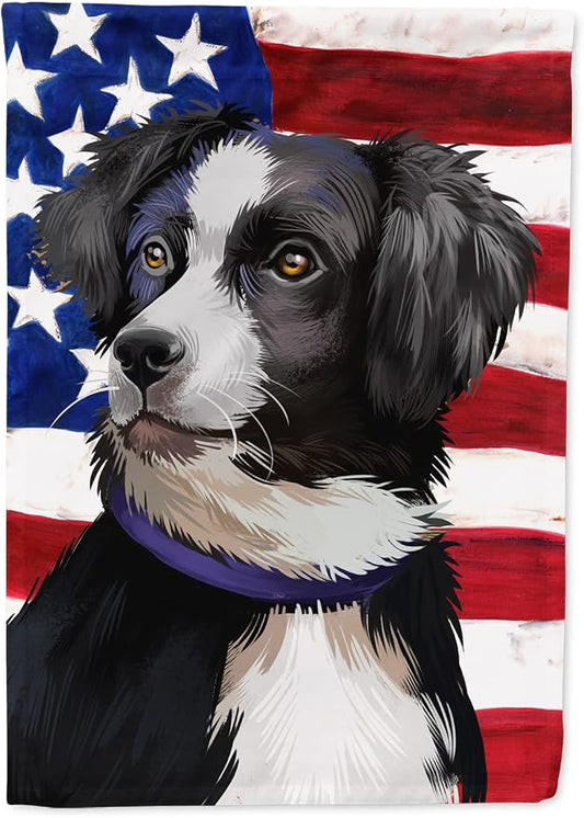 Caroline's Treasures CK6412CHF Australian Shepherd American Flag House Flag Large Porch Sleeve Pole Decorative Outside Yard Banner Artwork Wall Hanging, Polyester, House Size, Multicolor