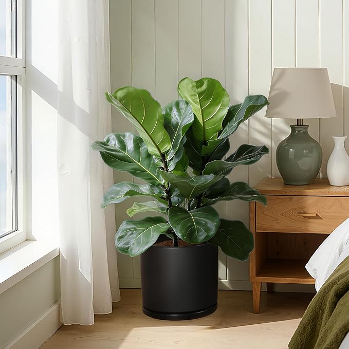 Kazeila 12 Inch Ceramic Planter Pot with Drainage Hole & Tray, Large Indoor Plant Pots, Modern Cylinder Flower Pot, Includes Mesh Net, Plug, Pads & 500g Clay Pebbles (Black, 12 Inch)