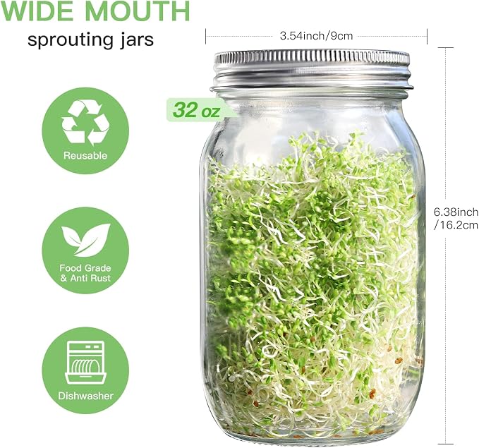 Seed Sprouting Jar Kit - 2 Wide Mouth Mason Jars with 316 Stainless Steel Sprouting Lids Covers, Drip Tray and Stand for Growing Broccoli Alfalfa Beans Sprout (Two Jars)
