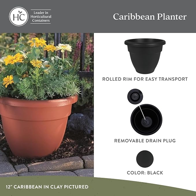 The HC Companies 12 Inch Caribbean Planter Pots with Drainage & Plug, Rolled Rim Plastic Planters for Indoor & Outdoor Plants, 2-Pack Decorative Flower Pots for Garden, Office & Home Decor, Black