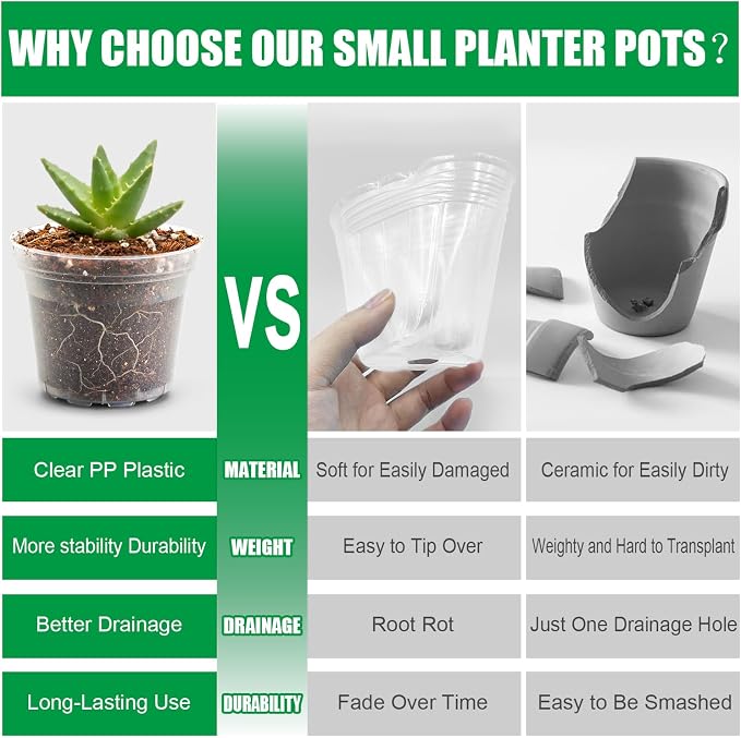 BTPLASTIK 50 Pack 3 Inch Clear Nursery Pots with Drainage Hole, Small Transparent Seed Starter Pots, Sturdy Plastic Plant Pot for Planting Seedlings Vegetables Flowers (3Inch-50P)