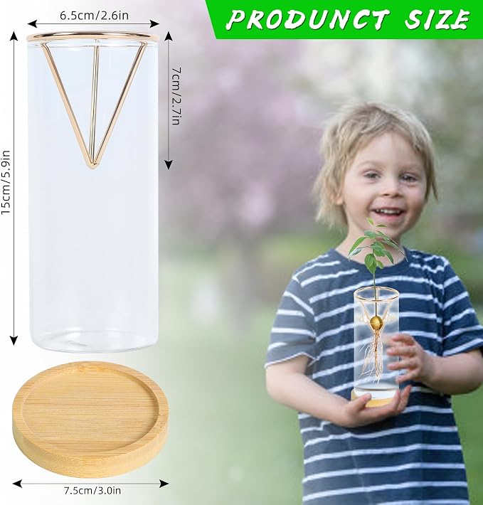 Bylion 2 Pack Avocado Tree Growing Kits - Avocado Growing Vase - Avocado Seed Starter Vase Glass Plant Pot Easy Seed Sprout Starter Gift for Women Gardening Lovers Home Office Table Decoration (Gold)