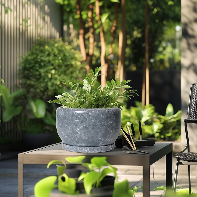 SQOWL Ceramic Pot for Plants - 10 Inch Plant Pot Indoor with Drainage Hole and Saucer, Round Ceramic Planter, Decorative Large Flower Pot Outdoor, Home Office Room Decor, Garden Gifts, Gray