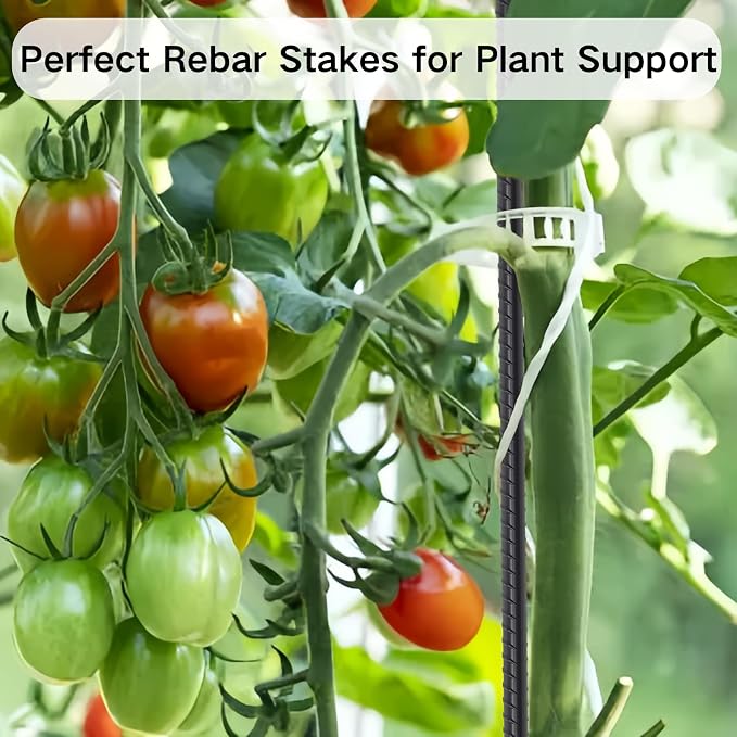 Rebar Stakes 48 Inch 16 Pcs Concrete Form Stake 1/2 Inch Dia Ground Anchors | Straight Metal Spikes with Chisel Point End for Plant Support, Garden Border, Survey Markers, Landscpe Timber