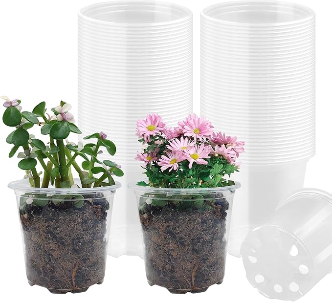 RooTrimmer 4" Clear Seeding Pots 50-Pack Round for Seeds Starting, Seeds Germination Transparent Nursery Pots with Drainage Holes (4Inch,Clear,50Pcs)