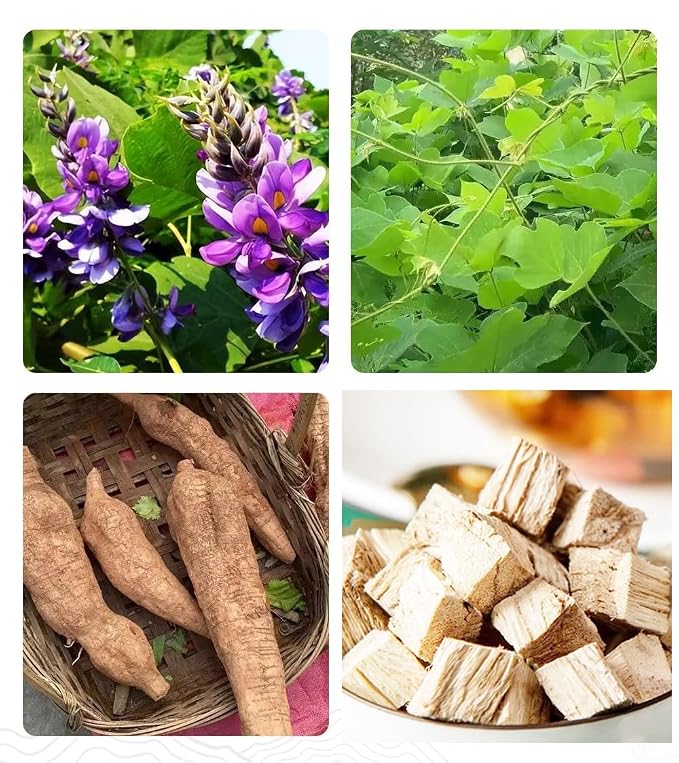 Dried Pueraria Lobata Root - 柴葛根12.35oz/350gPure Natural Chinese Herbal Medicine- for Tea, Cooking (Chai Ge Gen)