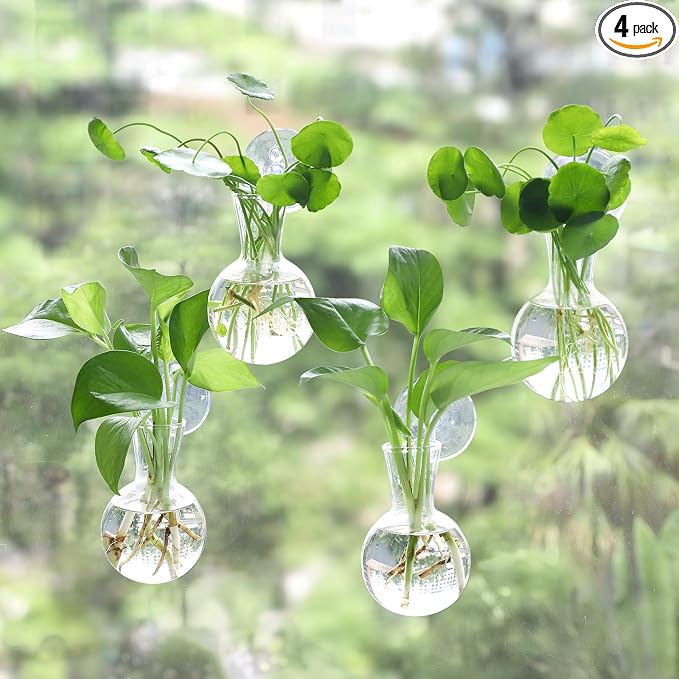 Bunmery 4 pcs Window Propagation Stations, Easy to Install Plant Propagation Bulbs with Suckion Cups, No Nails Wall Hanging Planter Propagation Station, Glass Plant Terrarium Vase